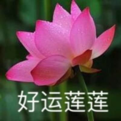 a樱花福精品院yy入口